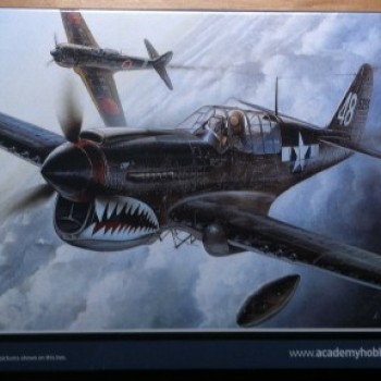 P-40M/N THE FIGHTER OF WORLD WAR II