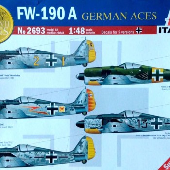 FW-190 A GERMAN ACES