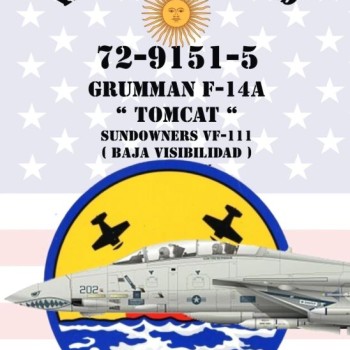 GRUMMAN F-14A "TOMCAT" SUNDOWNERS VF-111 (BAJA VISIBILIDAD)