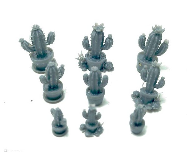 Set de 9 cactus pequeños en maceta