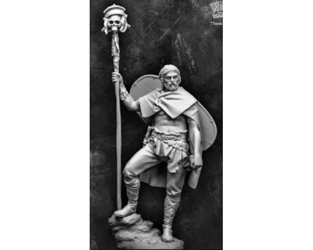 GUERRERO CELTA