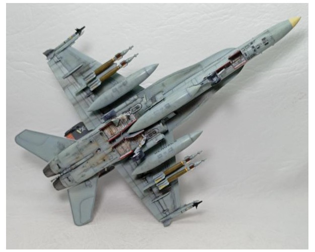 F/A-18D BLOCK 36 HORNET - VMFA (AW) 224 "BENGALS" - 1/72