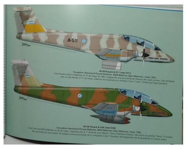 IA-58 PUCARÁ - SERIE FUERZA AÉREA #34