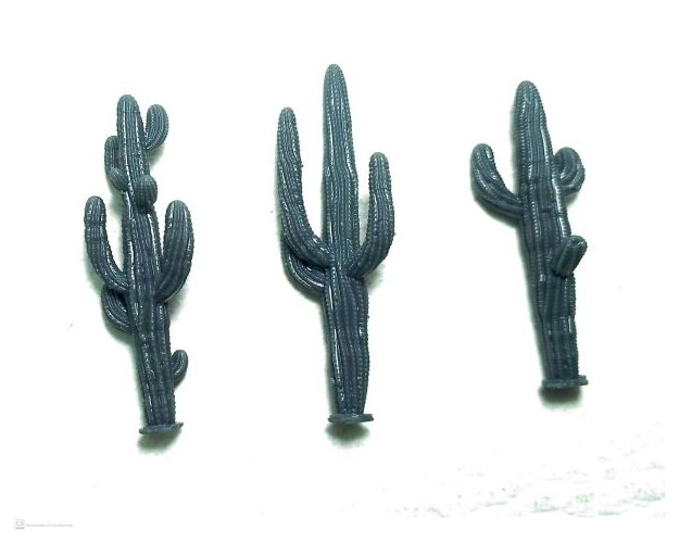 Set de tres cactus medianos.