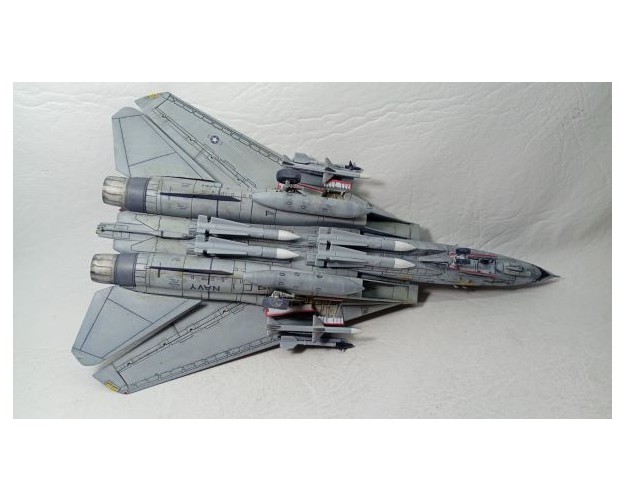 GRUMMAN F-14D SUPER TOMCAT. VF-101- 2004 - ESCALA 1/72