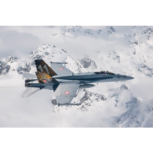 F/A-18 HORNET - TIGER MEET 2016