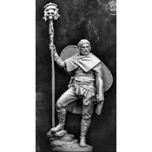 GUERRERO CELTA