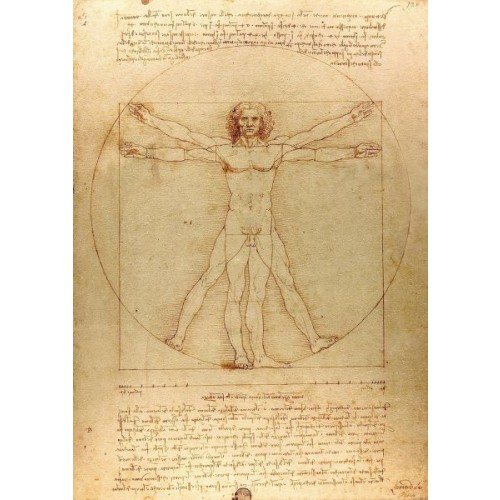 The Vitruvian Man