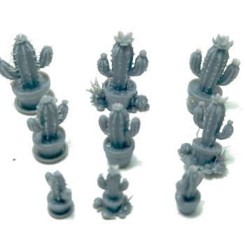 Set de 9 cactus pequeños en maceta