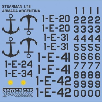 STEARMAN ARMADA ARGENTINA (48003)