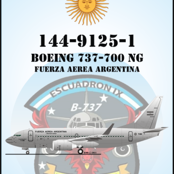 BOEING 737-700 NG - FUERZA AÉREA ARGENTINA 1/144